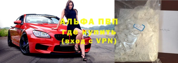 стаф Алзамай