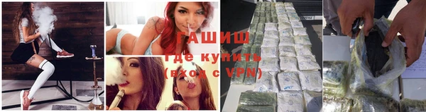 стаф Алзамай