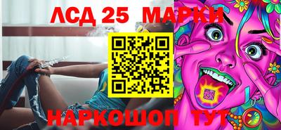 apvp Краснодар