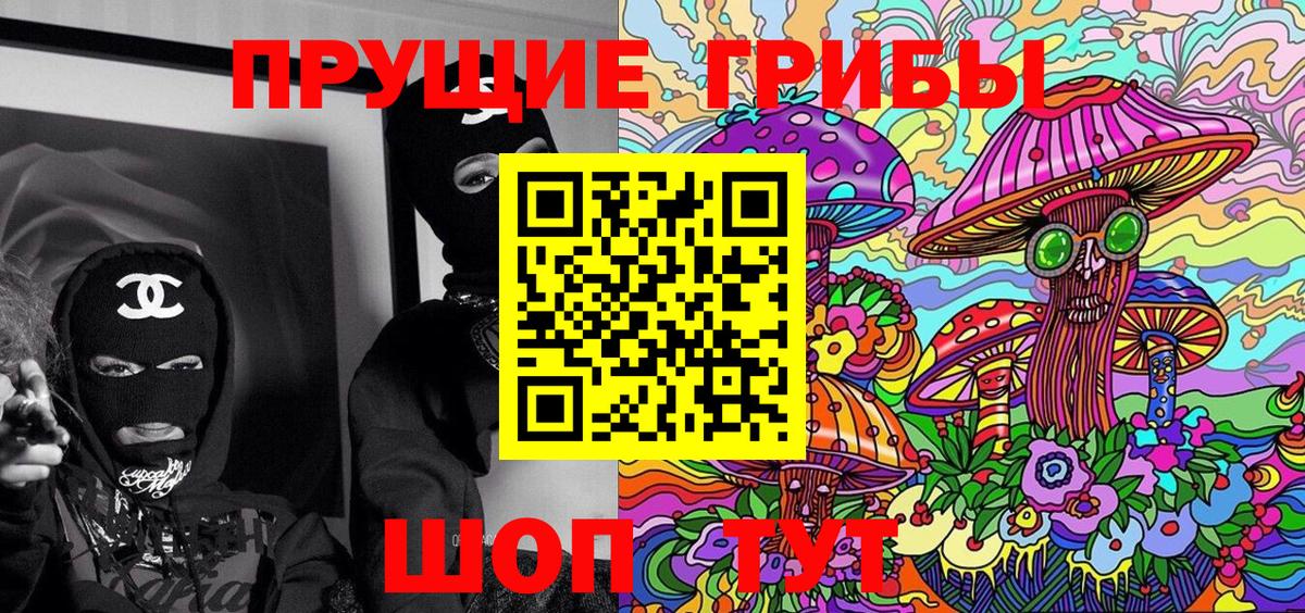 Ишимбай  Галлюциногенные грибы Psilocybe  Вход с VPN  сколько стоит  Псилоцибиновые грибы Psilocybe 