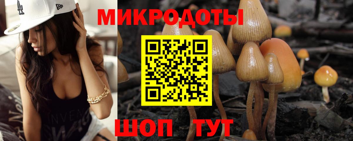 Псилоцибиновые грибы мицелий Ишимбай